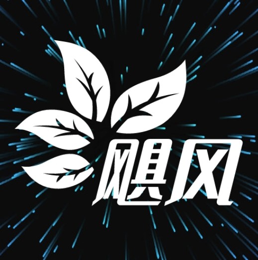 91网站免费版